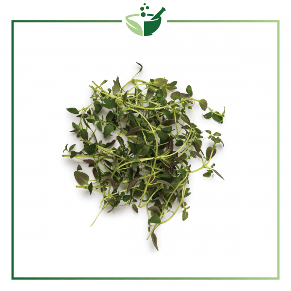 Thyme Extract